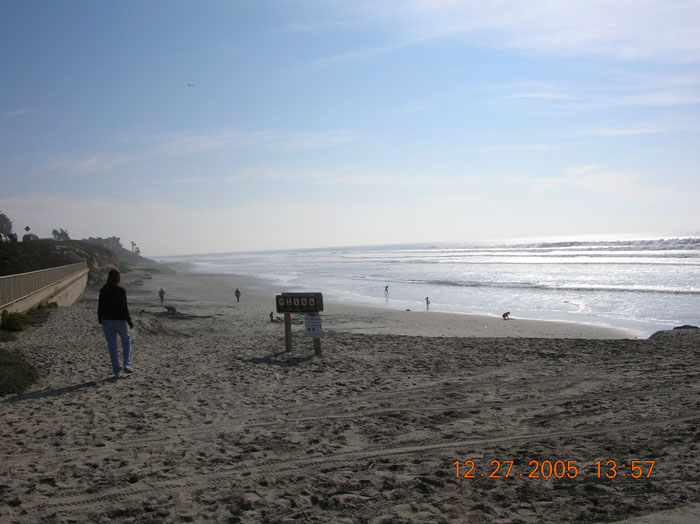 DSCN1973