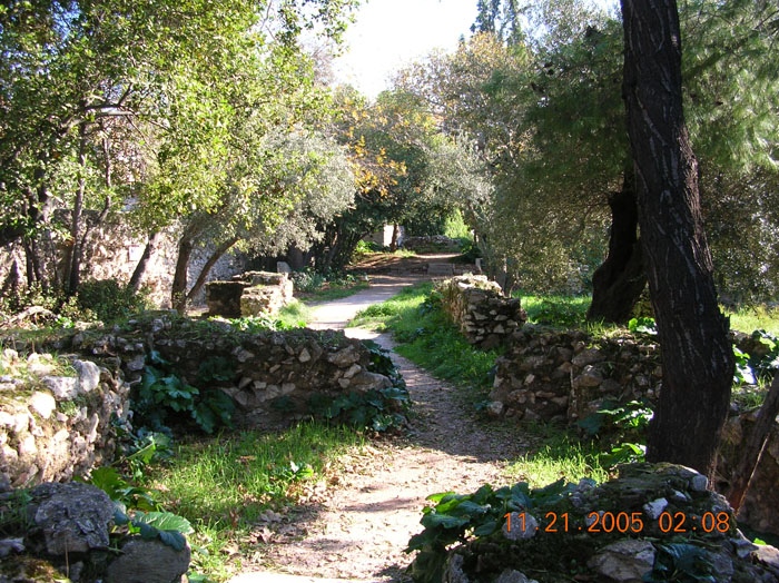 DSCN1803