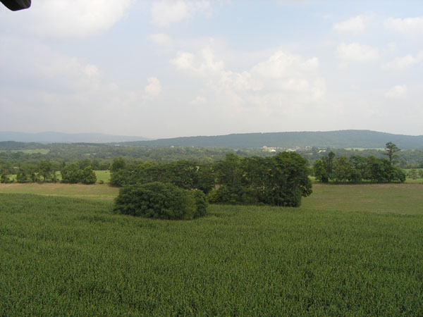 P8020036