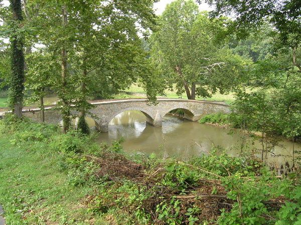 P8020047