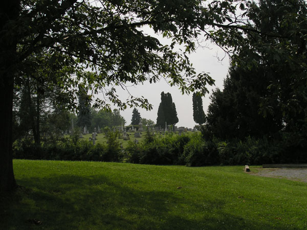 P8020055