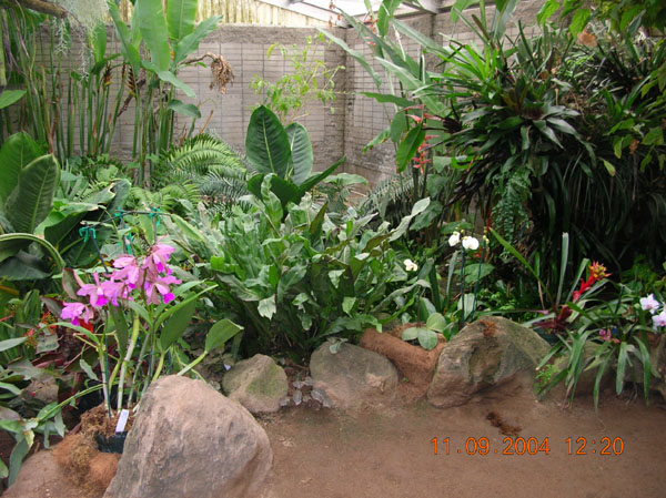 DSCN0307
