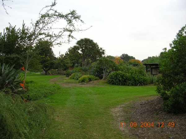 DSCN0310