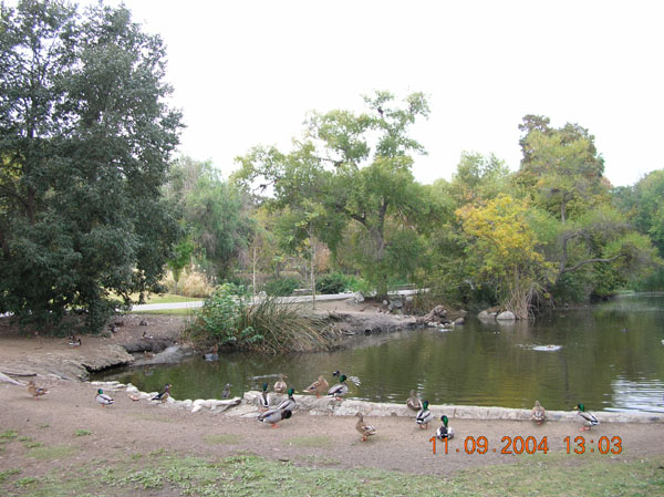 DSCN0315