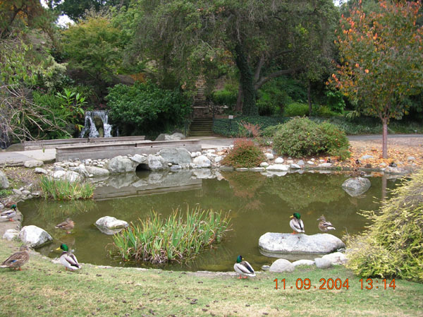 DSCN0321