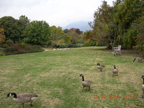 DSCN0322