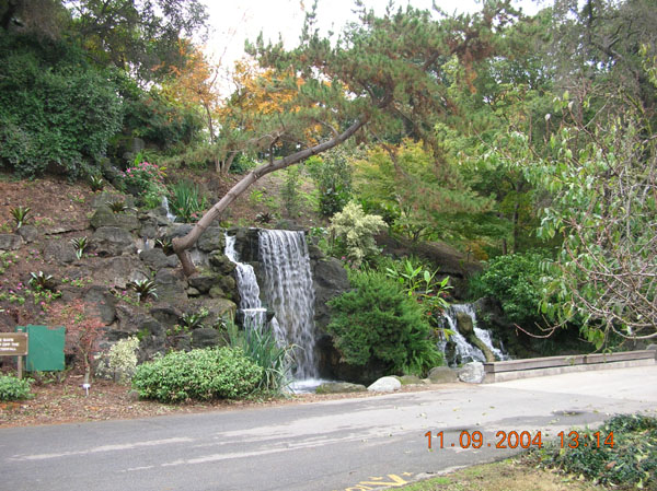 DSCN0323