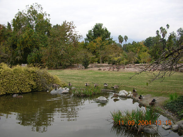 DSCN0327