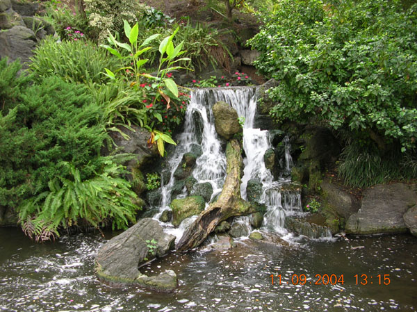 DSCN0328