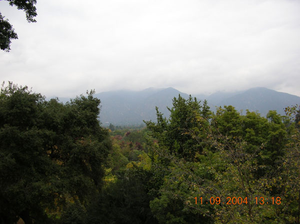 DSCN0331