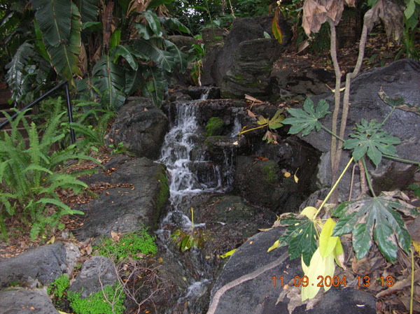 DSCN0332