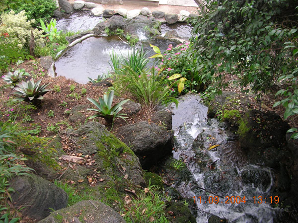 DSCN0333