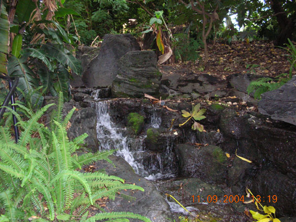 DSCN0334
