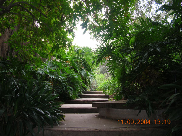 DSCN0335