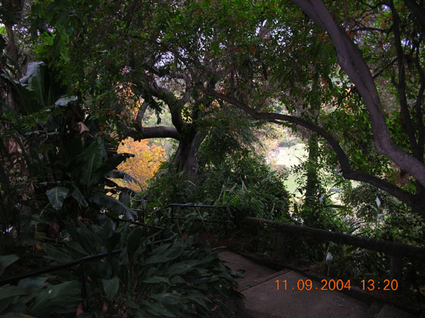 DSCN0336