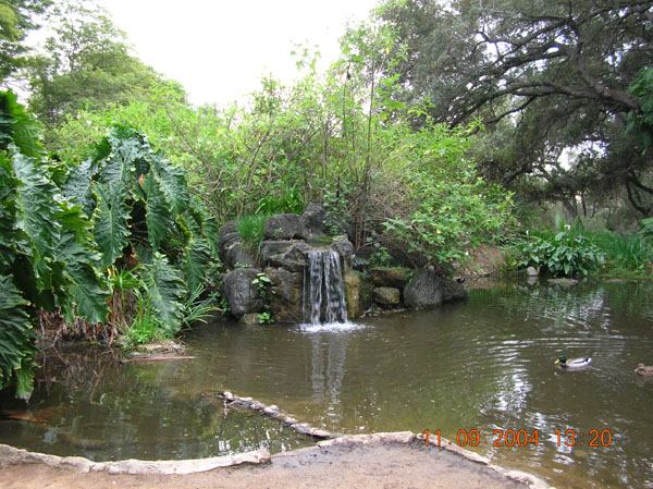 DSCN0337