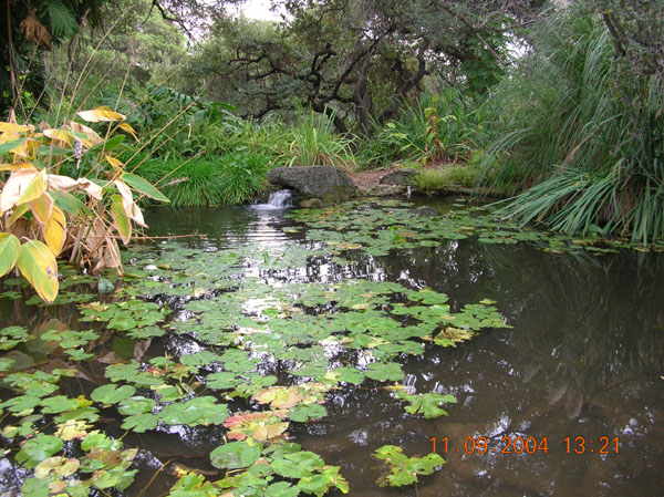 DSCN0339