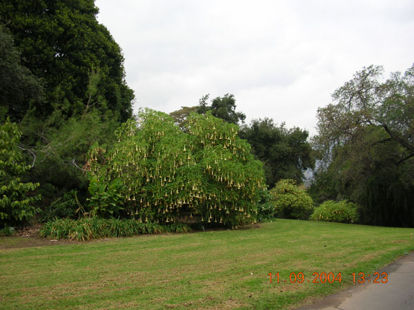 DSCN0343