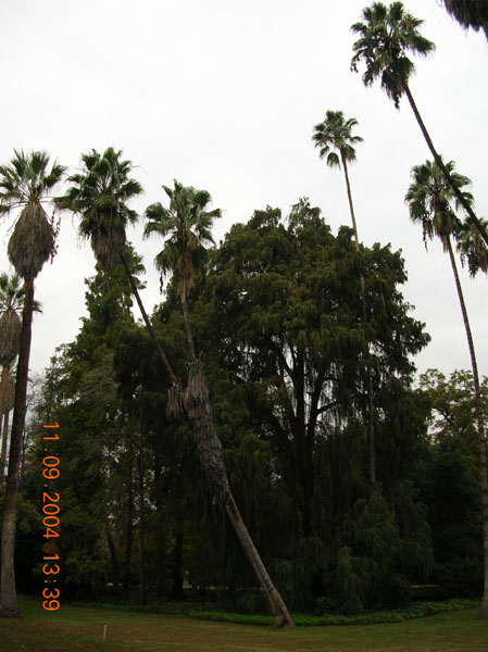 DSCN0346