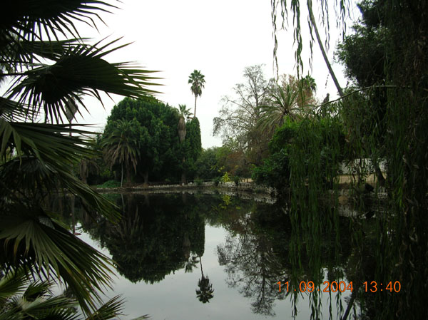 DSCN0348