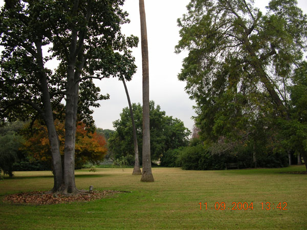DSCN0350