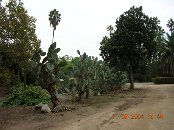 DSCN0360