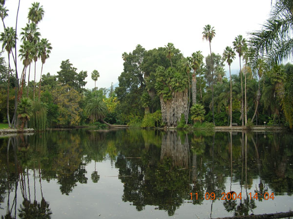 DSCN0375