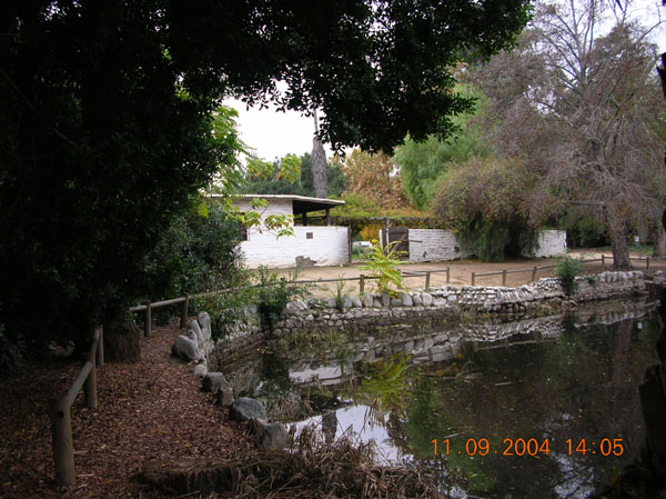 DSCN0377