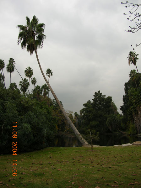 DSCN0379