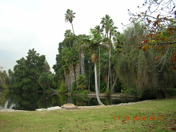DSCN0380