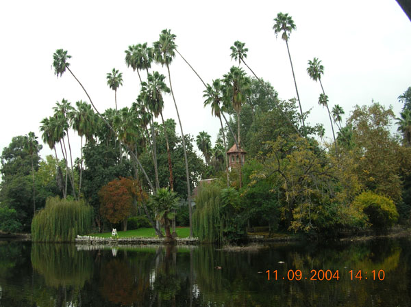 DSCN0385