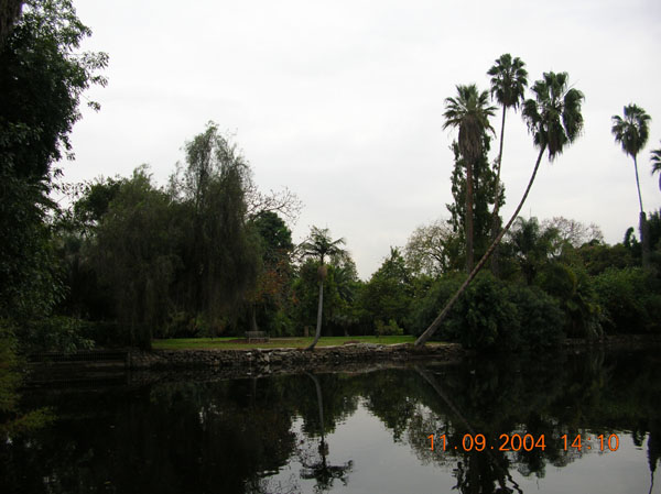 DSCN0386