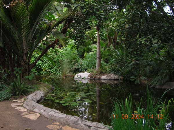 DSCN0391
