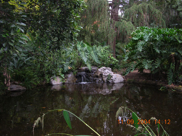 DSCN0392