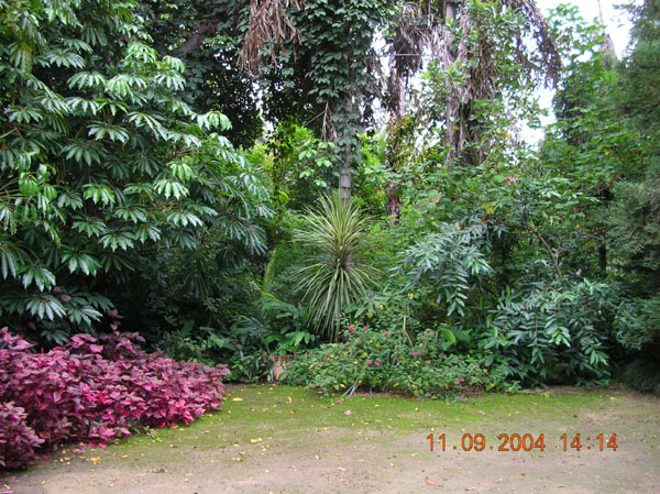 DSCN0395