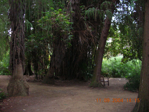 DSCN0396