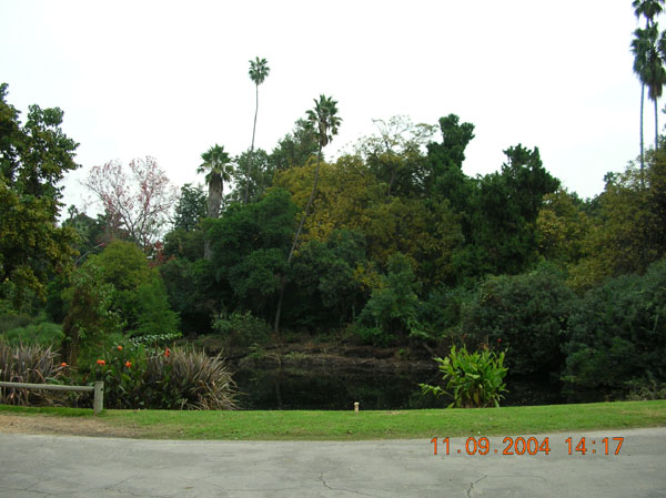 DSCN0398