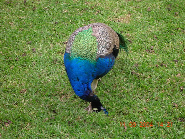 DSCN0401