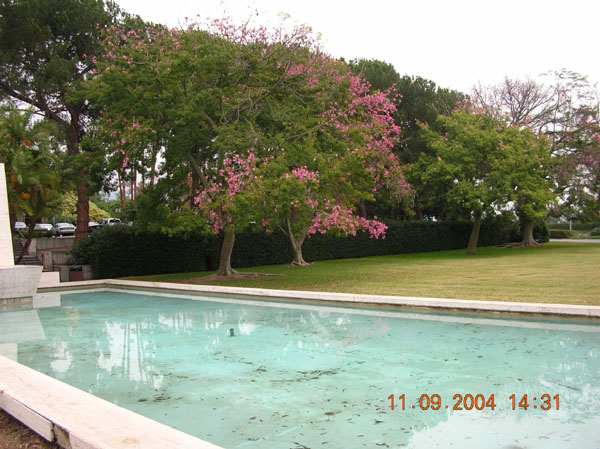 DSCN0405