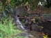 DSCN0334