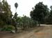 DSCN0360