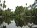 DSCN0375
