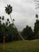 DSCN0379
