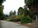DSCN0382