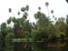DSCN0385