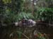 DSCN0392