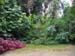 DSCN0395
