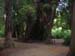 DSCN0396