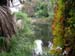 DSCN0397