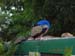 DSCN0409